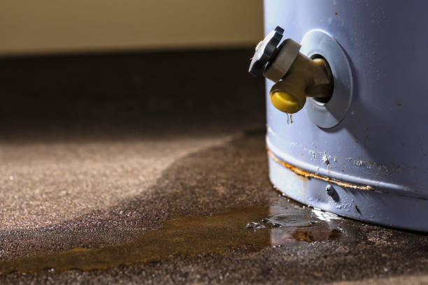 Water damage restoration mold remediation in Warm Mineral Springs, FL
