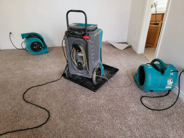  Warm Mineral Springs, FL Water damage restoration Pros