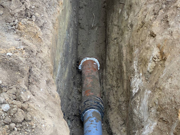 Reliable Warm Mineral Springs, FL Water damage restoration Solutions