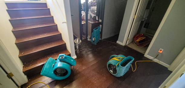 Best Ceiling water damage repair  in Warm Mineral Springs, FL