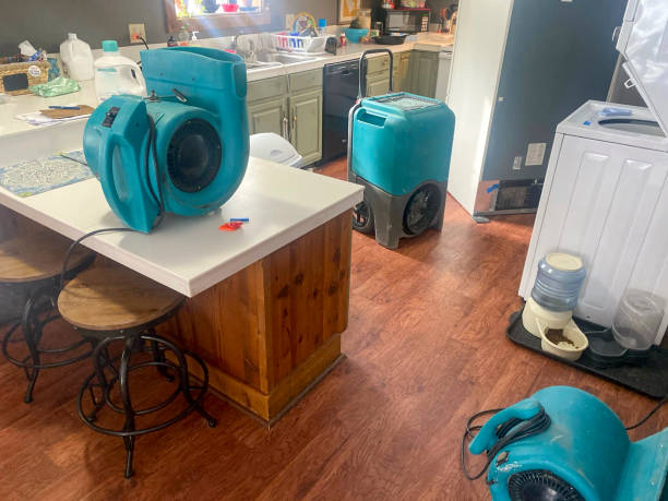 Carpet water damage restoration in Warm Mineral Springs, FL