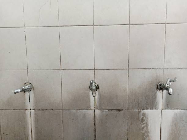 Water damage restoration experts in Warm Mineral Springs, FL