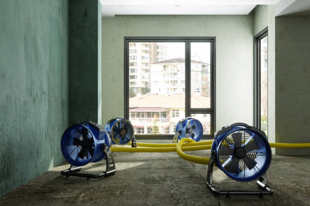 Local water damage restoration in Warm Mineral Springs, FL